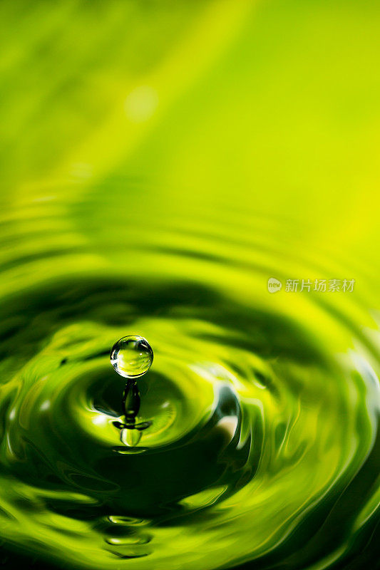 丛林绿水滴