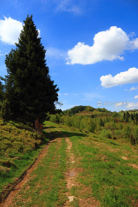 五月的山景。Beskid,波兰。