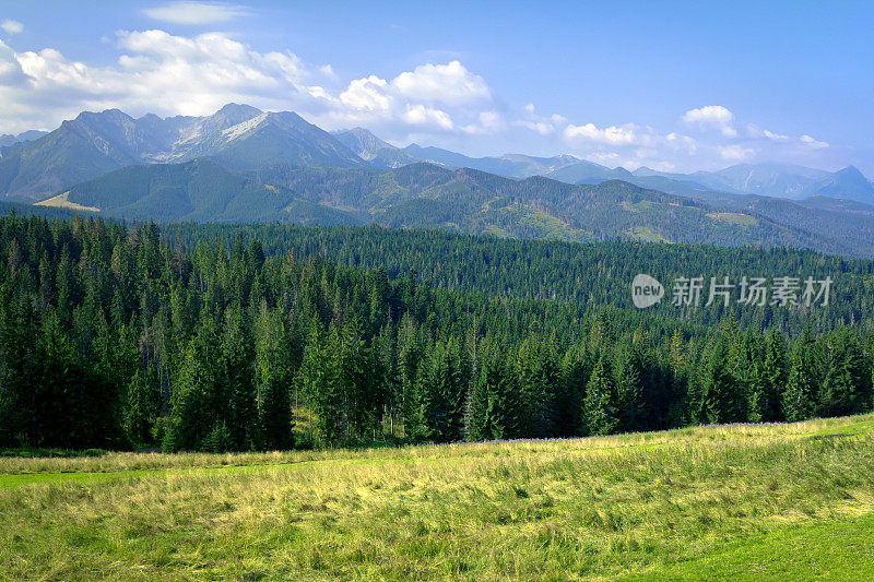 夏天山景观