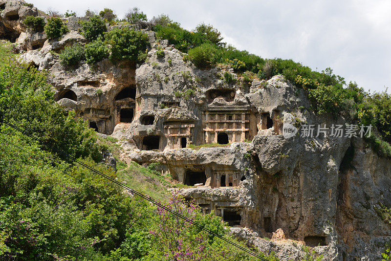 树木和建筑物仰天俯视