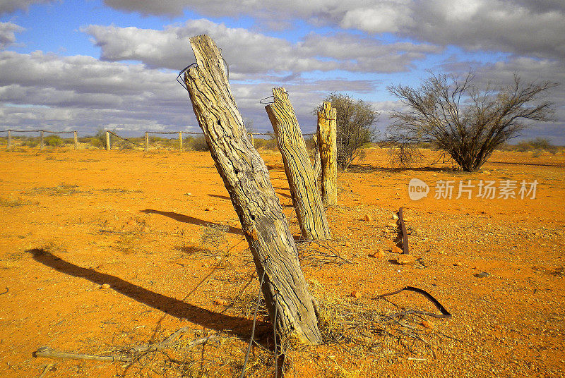 老篱笆，辛普森沙漠，澳大利亚