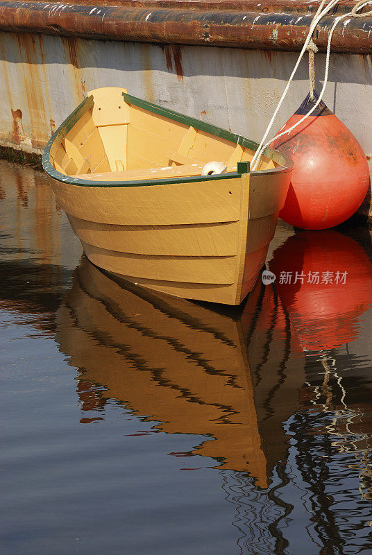 大浅滩海鲂