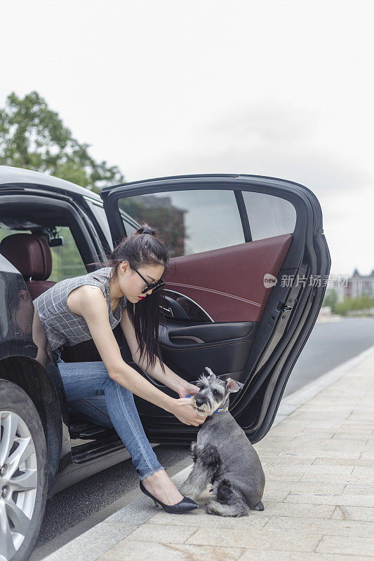 漂亮女人坐在车里和她的小狗玩