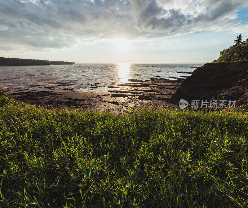 芬迪湾海岸