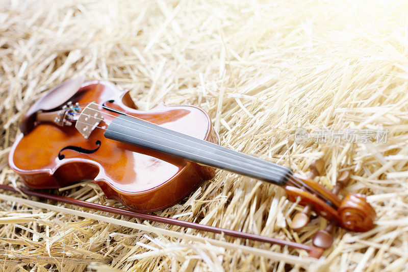 小提琴坐在阳光充足的谷仓的稻草上