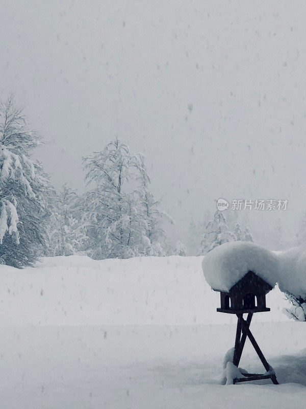 降雪期间的森林景观-被雪覆盖的鸟屋在右边