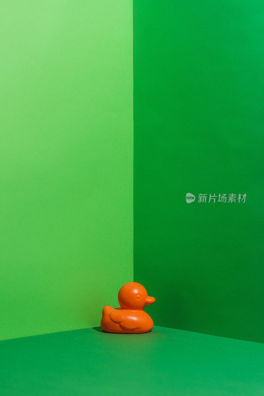 孩子橙色橡皮鸭玩具在绿色