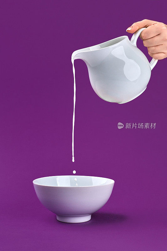 在紫色的背景上，用手将新鲜的有机牛奶从罐子倒入碗中