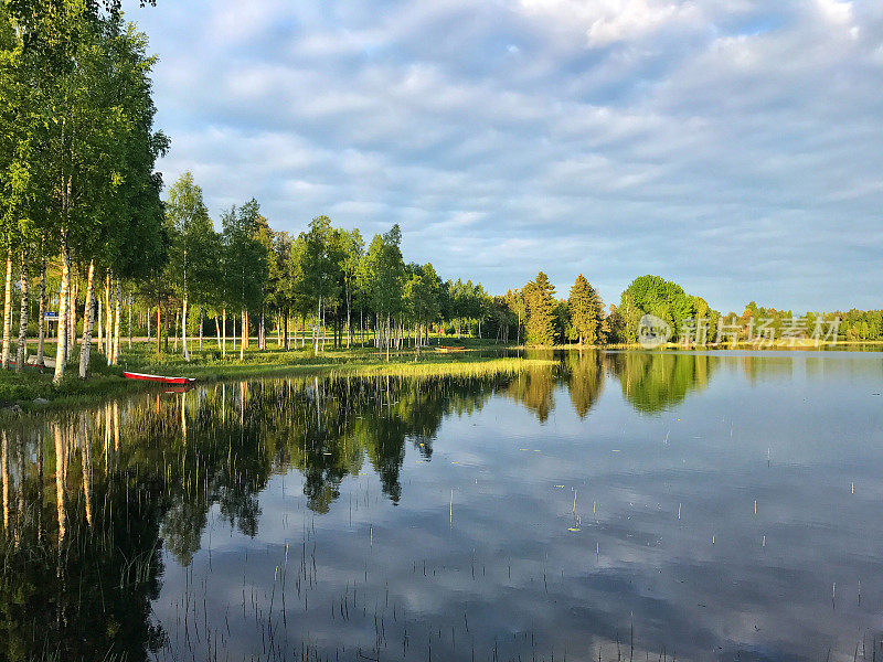 美丽的风景与桦树和松树倒映在湖中，Gastrikland，瑞典