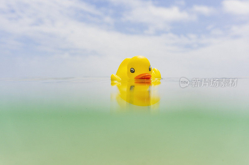 橡皮鸭漂浮在海面上。