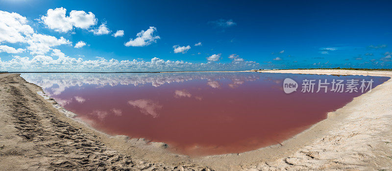 墨西哥尤卡坦半岛的拉斯科罗拉达斯的盐粉泻湖