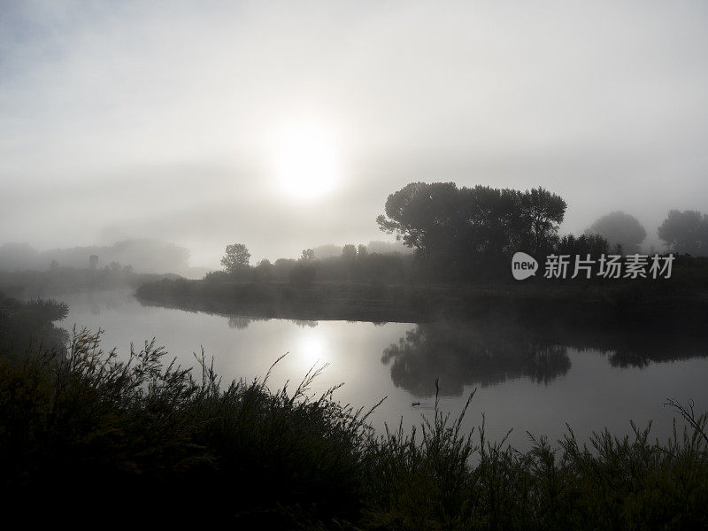 明亮的太阳雾天空树水科罗拉多圣胡安山脉地区