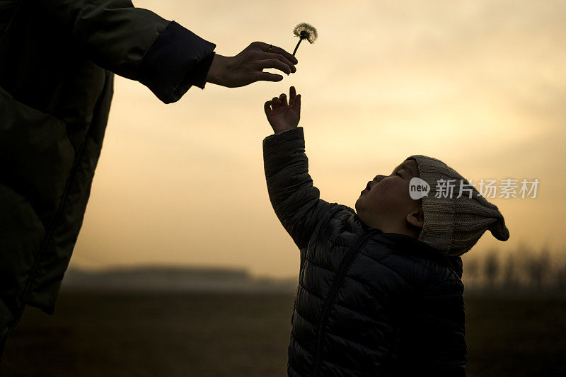 年轻的妈妈给宝宝蒲公英，侧视