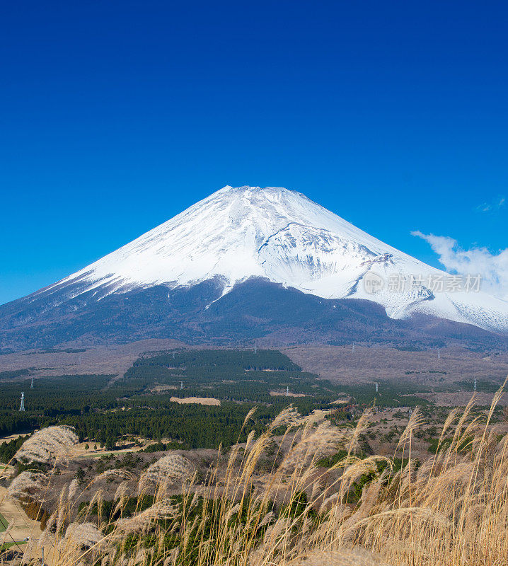 日本富士山