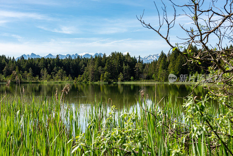 奥地利阿尔卑斯山脉附近的野湖