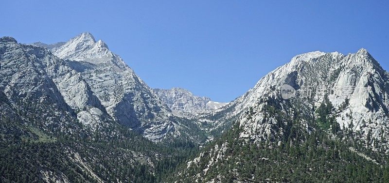 印约国家森林高花岗岩