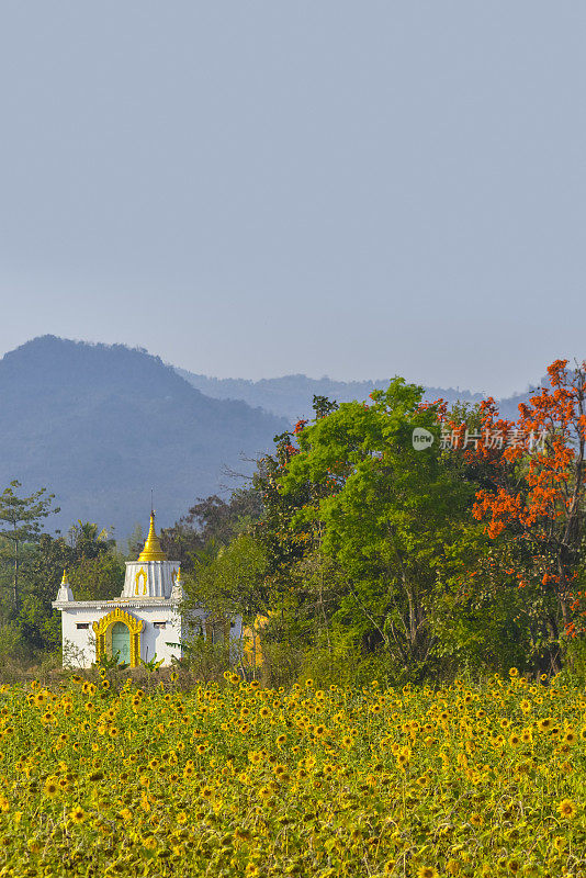 缅甸茵莱湖的一个小村庄寺庙