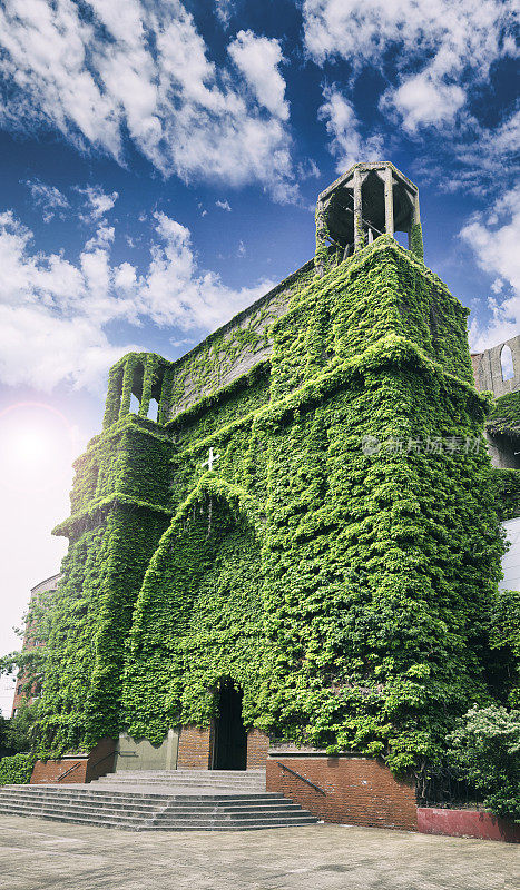 阿根廷布宜诺斯艾利斯的一座被植物覆盖的古老教堂