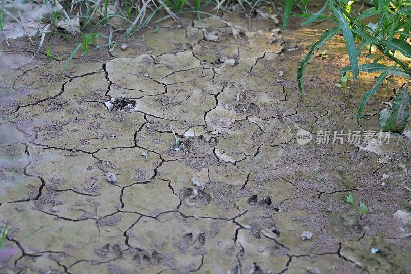 河边的泥里有一个人的脚印