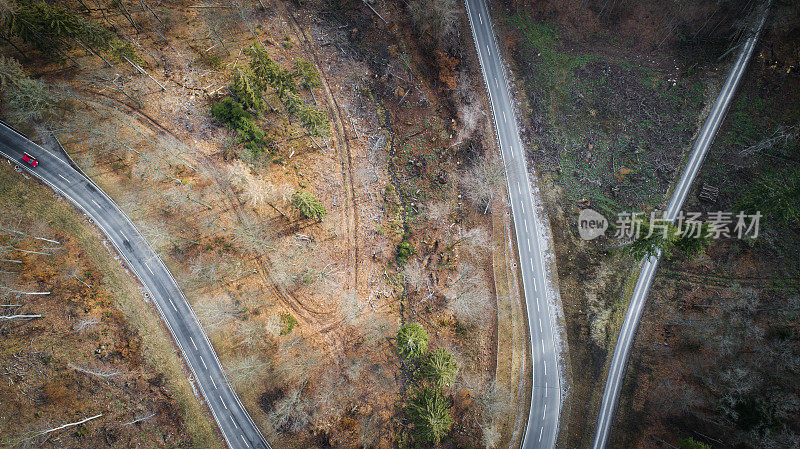 蜿蜒的道路穿过森林