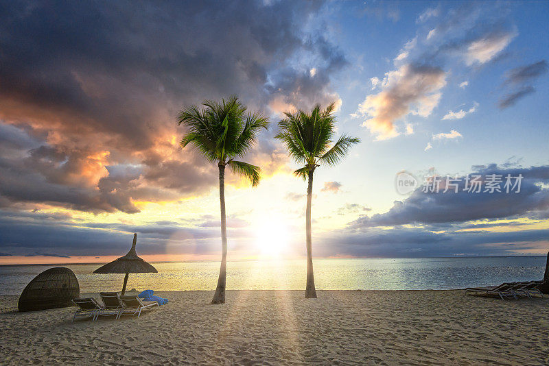 在令人窒息的日落时分，两颗分开的棕榈树在毛里求斯的梦幻海滩上