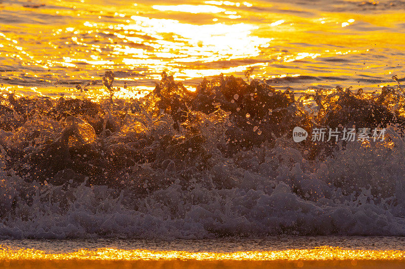 佛罗里达日出，海浪