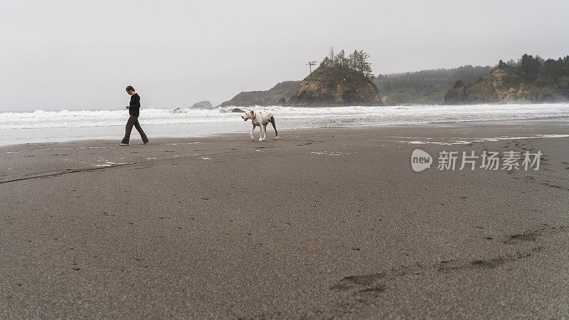 这位40岁的成熟白人女子在太平洋的沙滩上遛着她的大狗。特立尼达，加利福尼亚，美国西海岸。