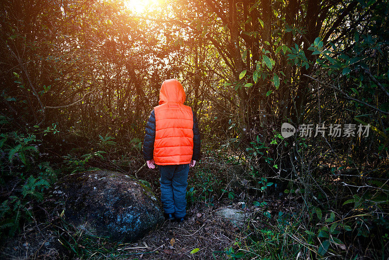 小男孩在森林里迷路了