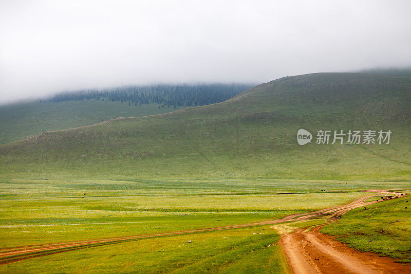 蒙古大草原上的土路