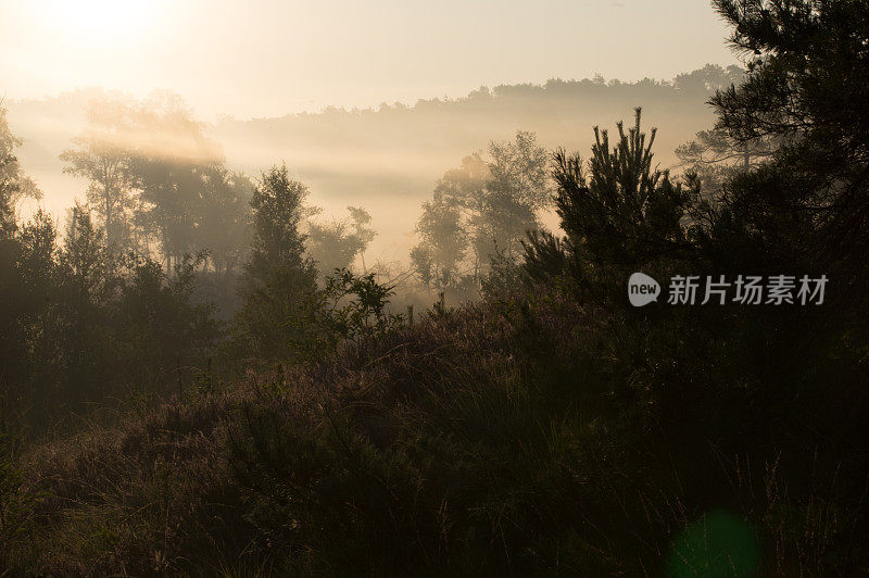 雾希思场景