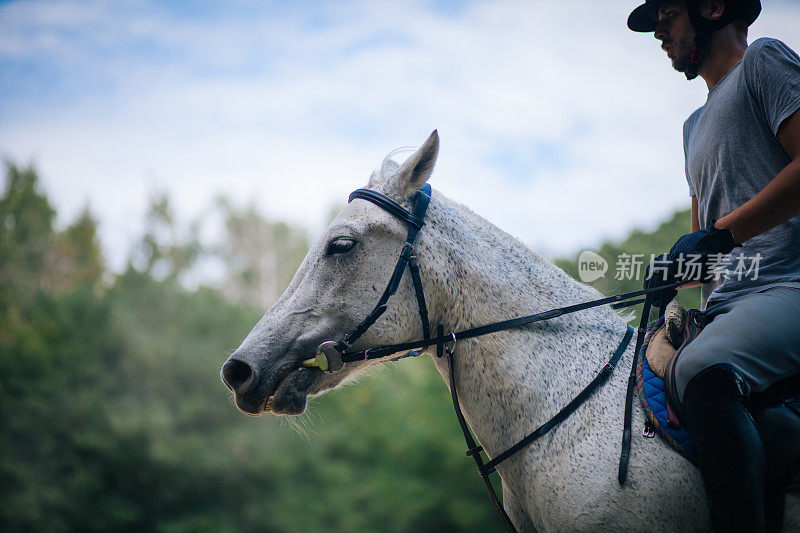 骑师在谷仓里骑马