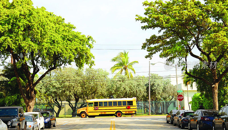 佛罗里达迈阿密的校车。