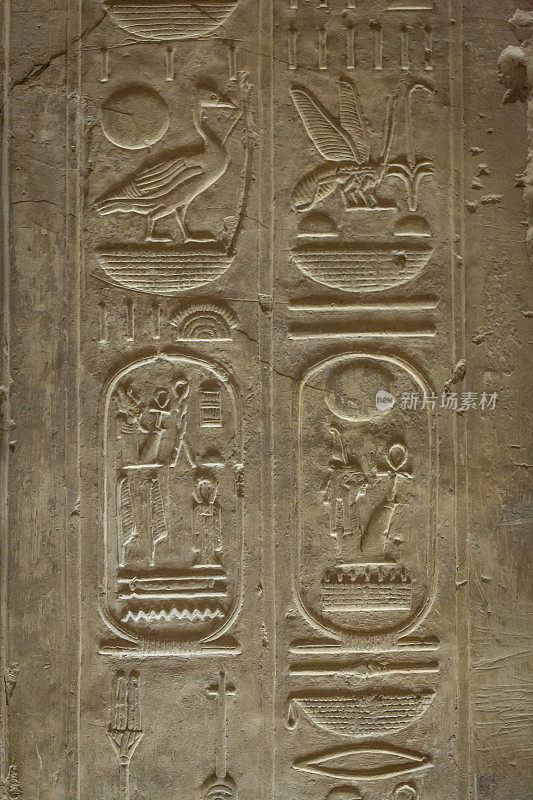 埃及墙上的象形文字