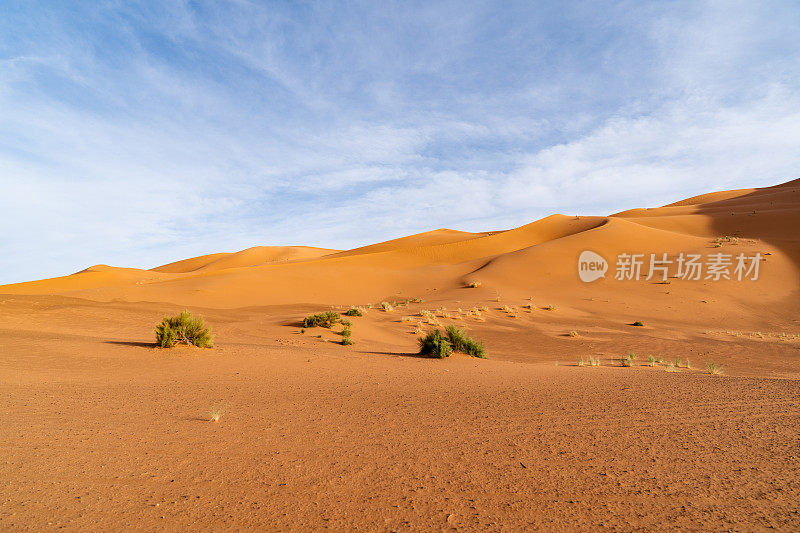 摩洛哥Merzouga沙漠的橙色沙丘和多云的天空。