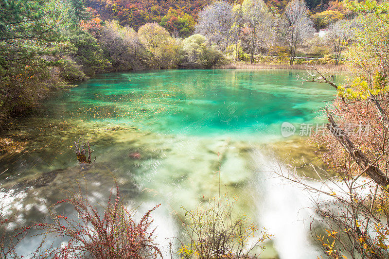 风景优美的木山和五花湖(九寨沟国家公园)，中国