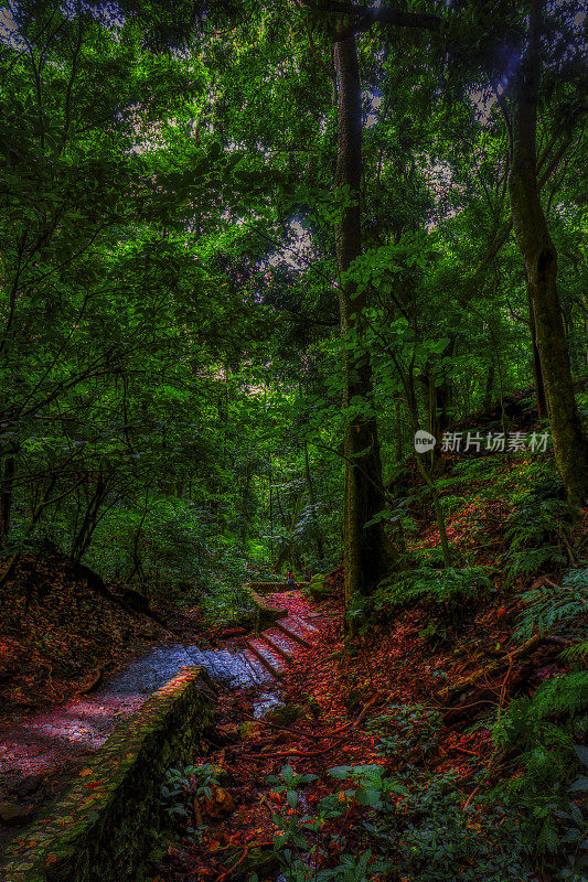 通往山的路-HDR