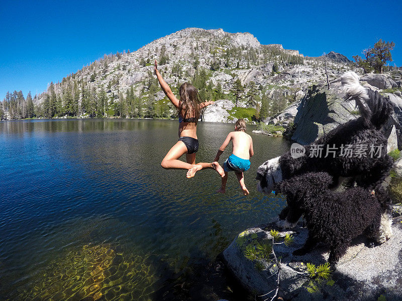 牧羊犬看着并保护跳进高山湖泊的孩子们