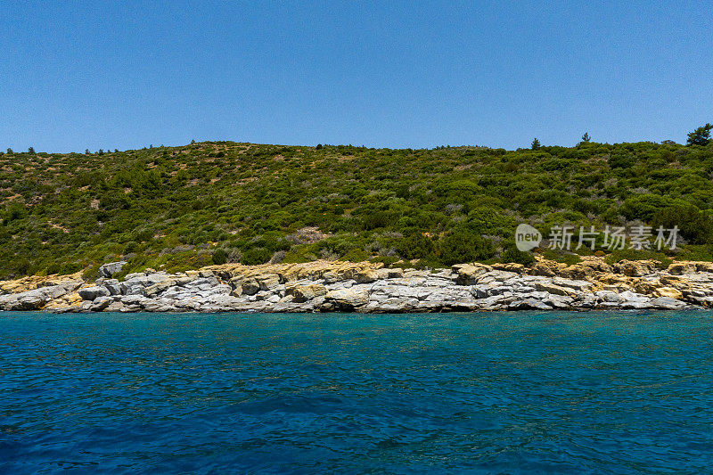 布满松树的岩石海岸