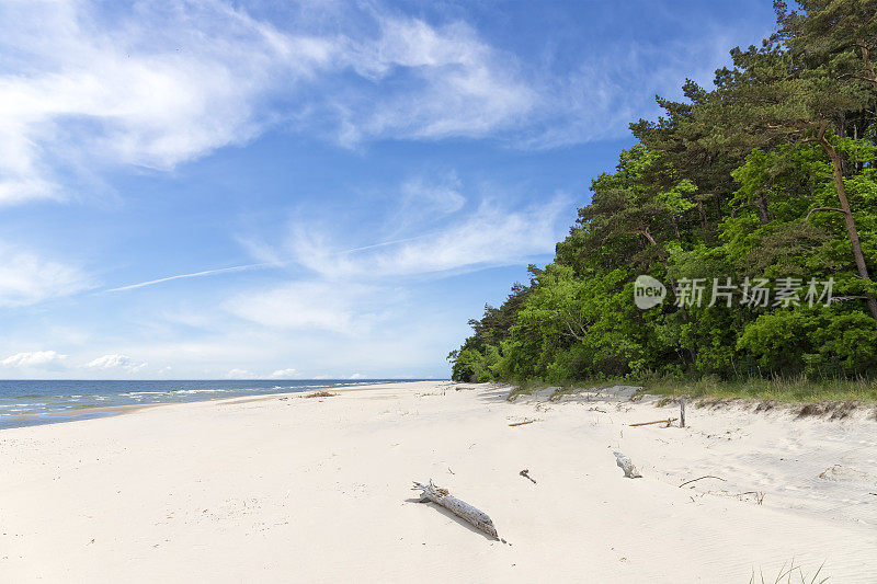 假期在波兰-波罗的海沿岸的沃林斯基国家公园在沃林岛