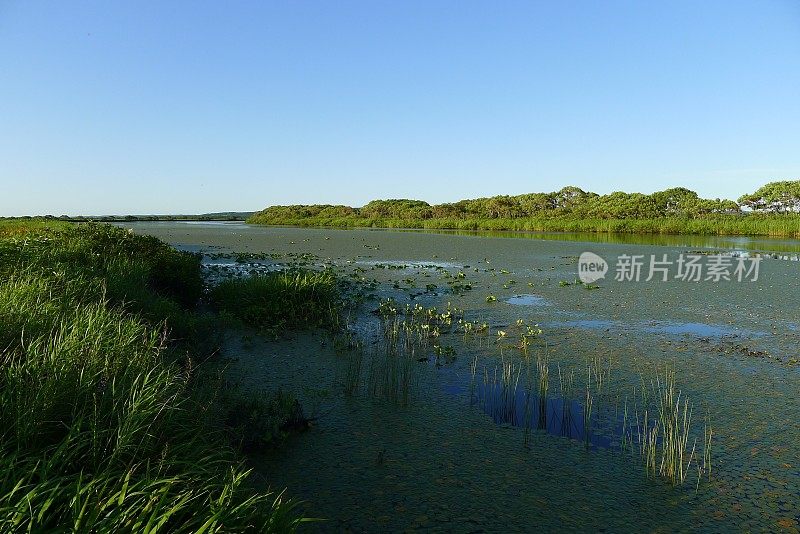 Sarebetsu平原和Panke沼泽(日本利尻理本佐别国家公园)