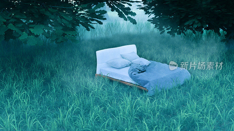 森林中央的一张床，梦幻般的场景