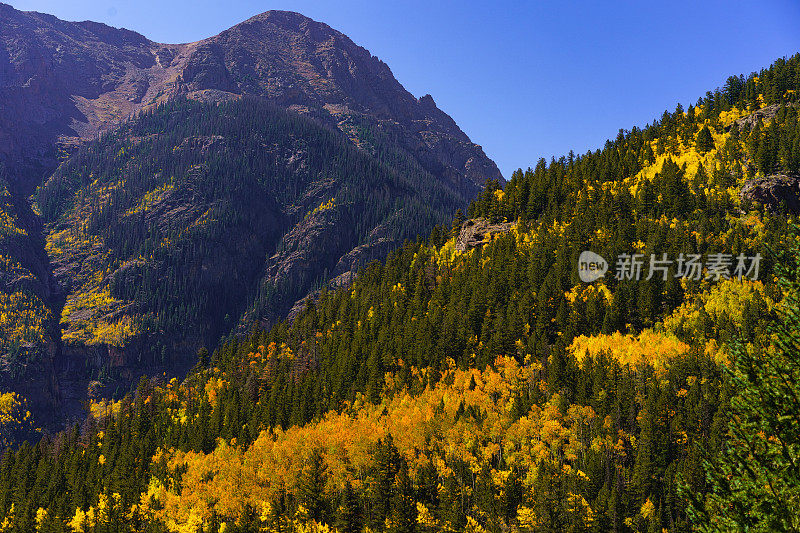 山景秋天与彩色白杨树