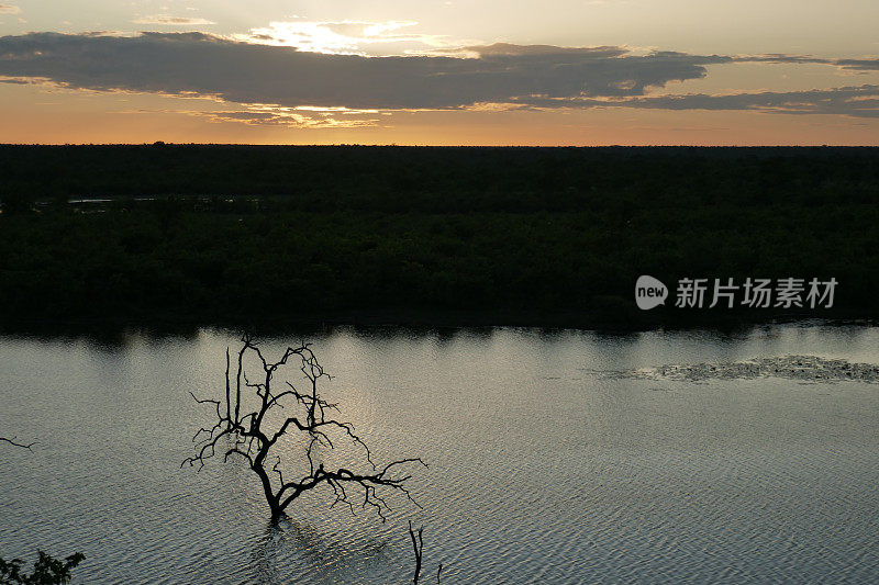 莫帕尼先驱大坝，克鲁格国家公园，南非