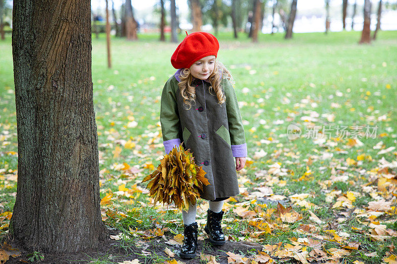 有趣的小女孩走在黄色的枫叶上。