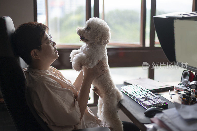 一名亚洲华人妇女在学习室内带着她的玩具狮子狗在电脑前工作