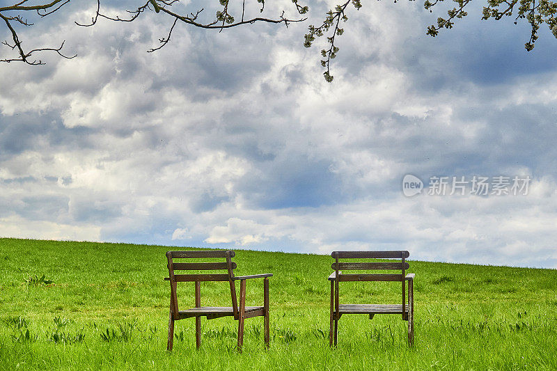 草地上的两把空木椅，后视镜