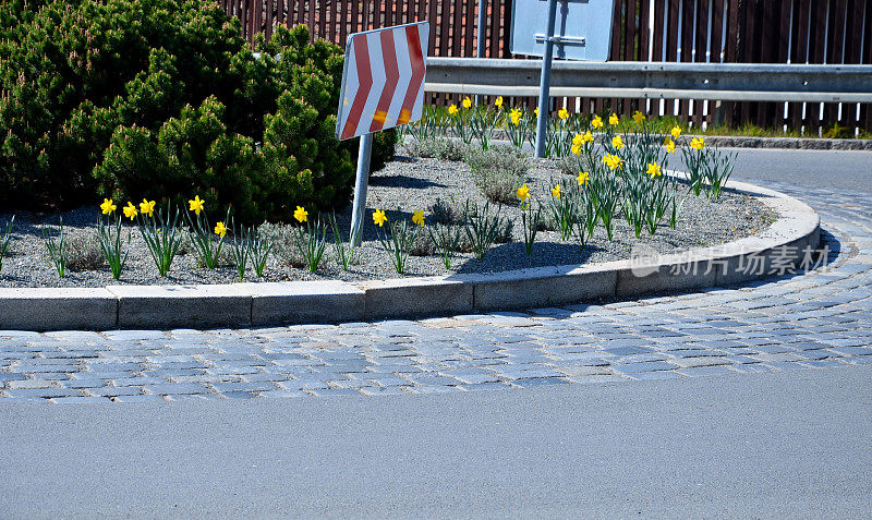 环形路铺设灰色花岗岩立方体，交通枢纽，中间有鲜花和草。针叶树形状呈绿色球状，水仙花蓝色开花，砾石覆盖
