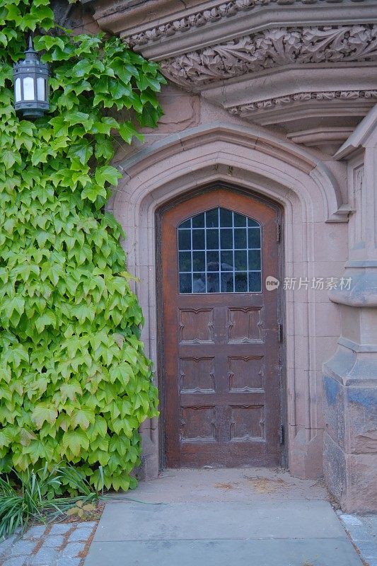 普林斯顿大学漂亮的木雕门