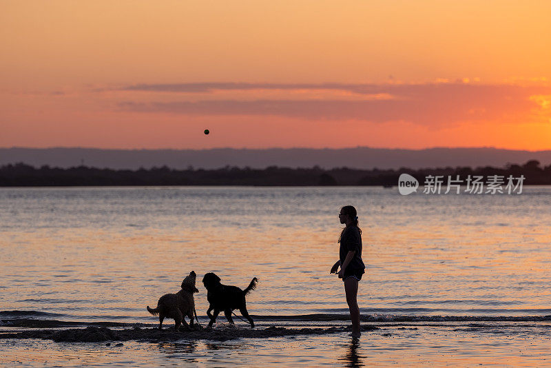 女孩和她的狗在日落