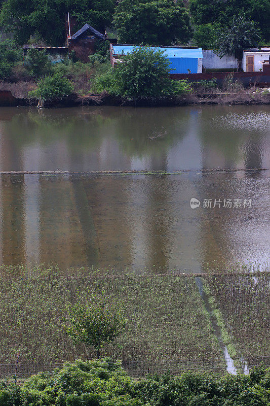 淹水的耕地，淹水的农业建筑，农田被分割成矩形块的农业区，印度季风季节